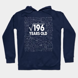 Square Root of 196 14th Birthday 14 Years Old Math Science Lover Gifts Nerdy Geeky Gift Idea Hoodie